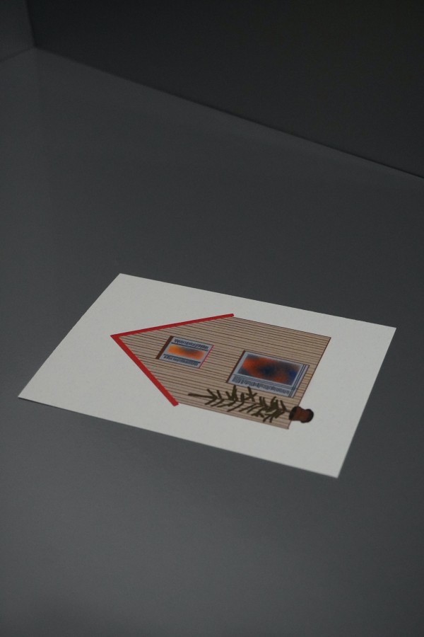 Namas su Eglė Atvirutė